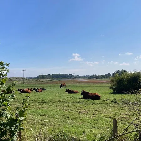 Bades Huk Haus 3 12 - Og * Hohen Wieschendorf